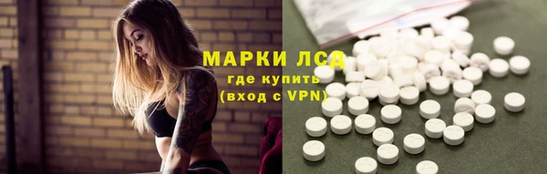тгк Бородино