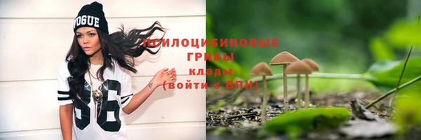 тгк Бородино