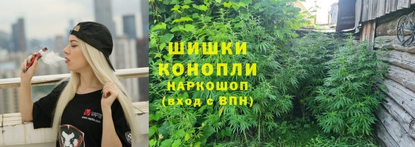 ECSTASY Пересвет