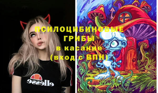 гидра Переславль-Залесский