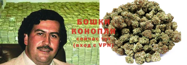дурь Бронницы