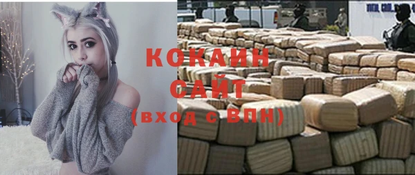 дурь Бронницы