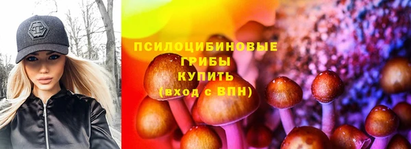 дурь Верея